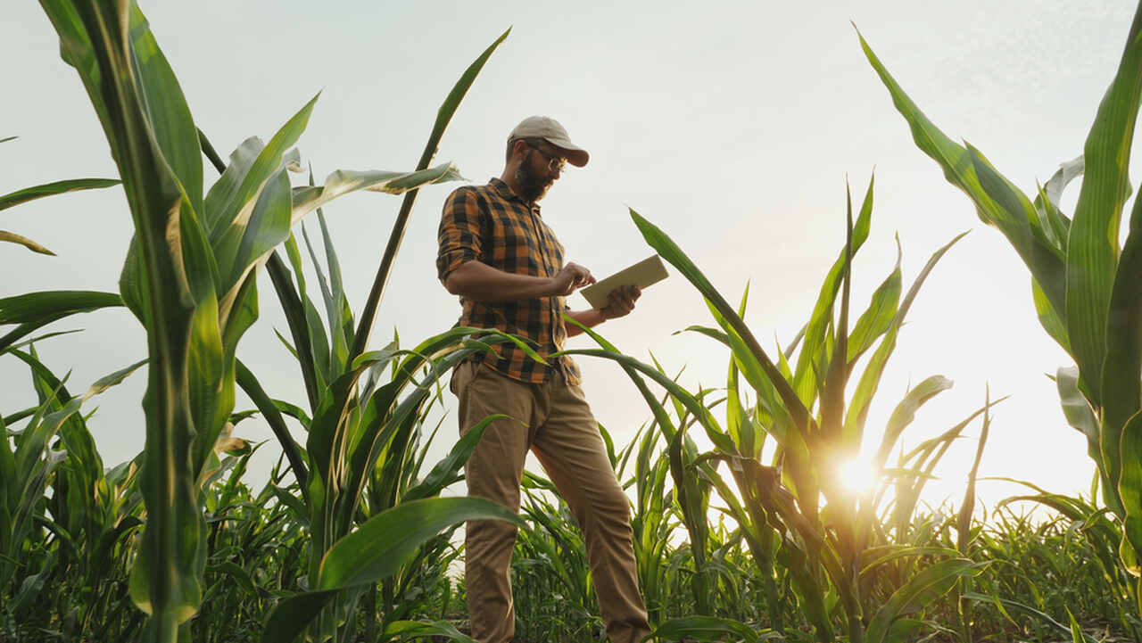 Agricultor com tablet